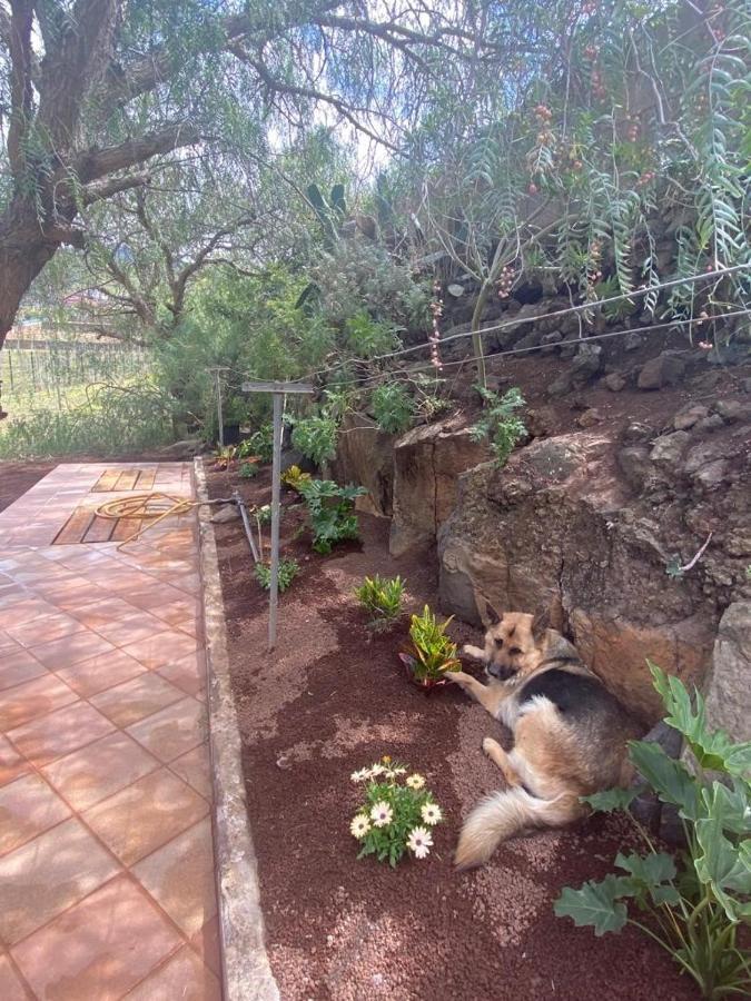 Casita Entre Vinedos, Experiencia Rural, Ideal Ninos. Tegueste Bagian luar foto