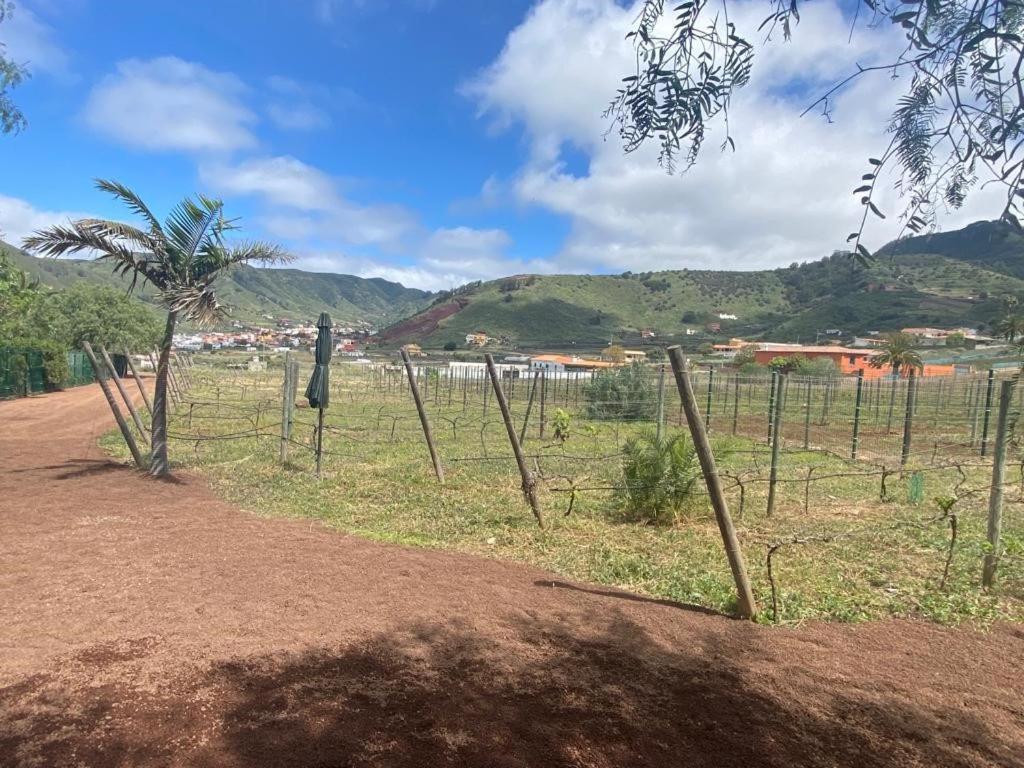 Casita Entre Vinedos, Experiencia Rural, Ideal Ninos. Tegueste Bagian luar foto