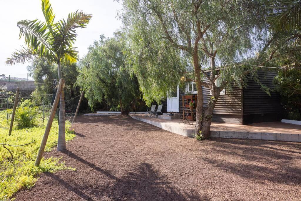 Casita Entre Vinedos, Experiencia Rural, Ideal Ninos. Tegueste Bagian luar foto